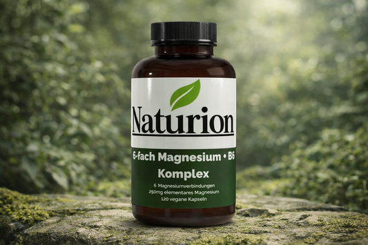 Magnesium 6x Komplex + B6 - 120 vegane Kapseln
